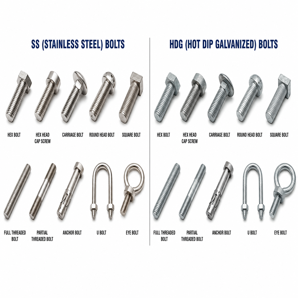 Stainless Steel and HDG Bolts